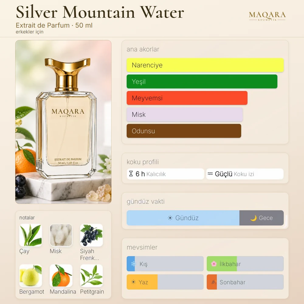 Silver Mountain Water koku kartı: ana akorlar, notalar, kalıcılık, koku izi, gündüz ve gece, mevsimler